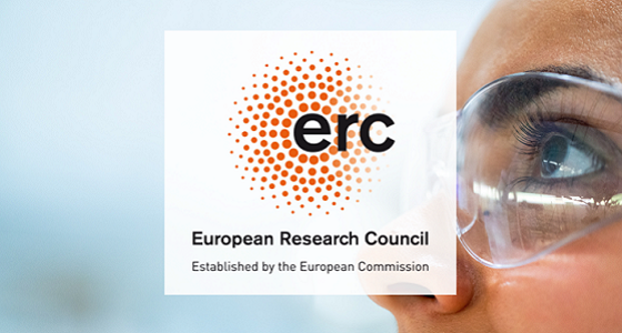 ERC Advanced Grant - Get Nordic Innovators' Assistance